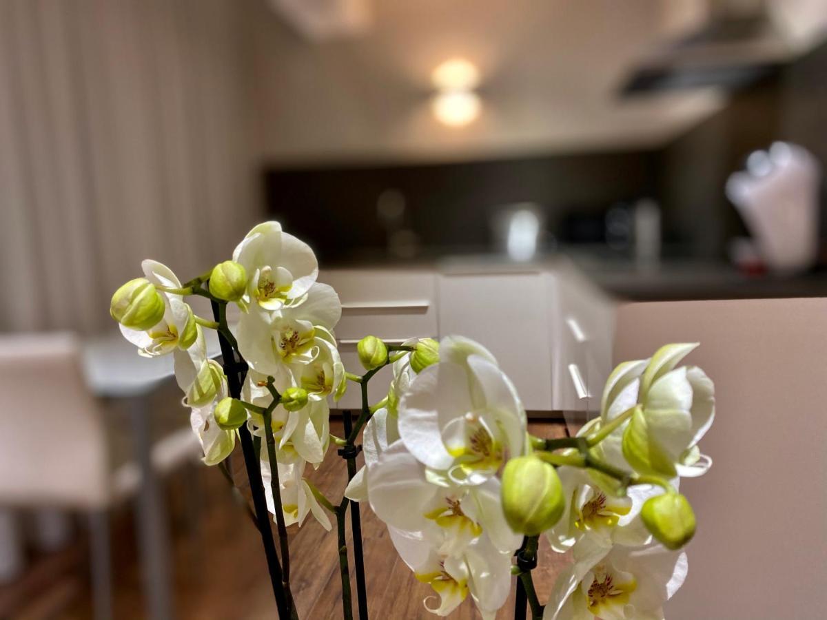 Aparthotel Harpazul Catoira Exteriér fotografie